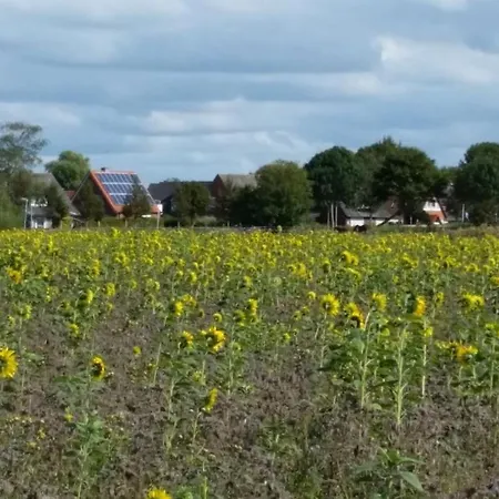 Hafenliebe-greetsiel Daire