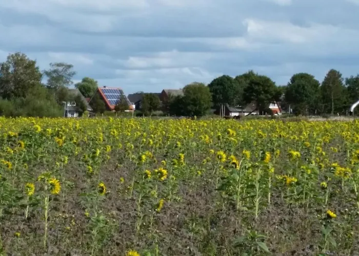 Hafenliebe-greetsiel Lägenhet